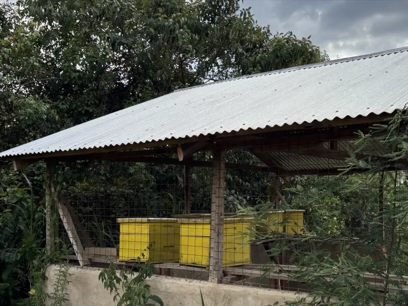 The bee house, with its yellow hives