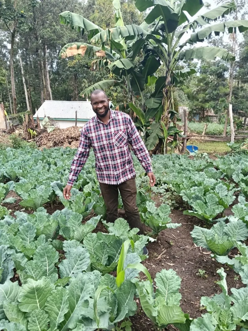 Crops growing on the Waweza farm