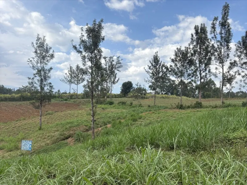 Our farm land in Kakamega